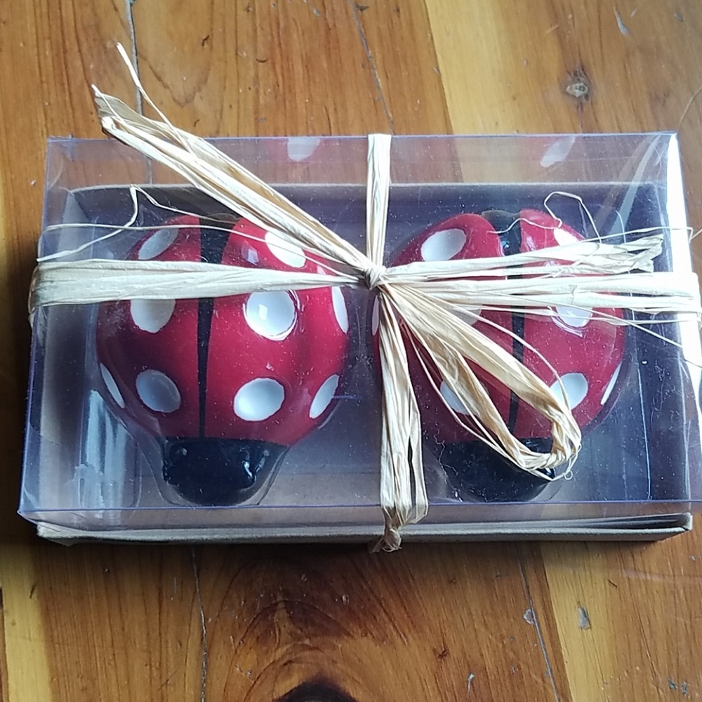 Ladybug salt and pepper shakers
